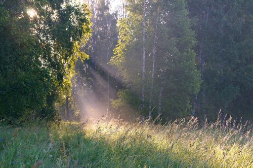 Wijd open raam op een zomerse ochtend met lichte gordijnen die bewegen in de wind
