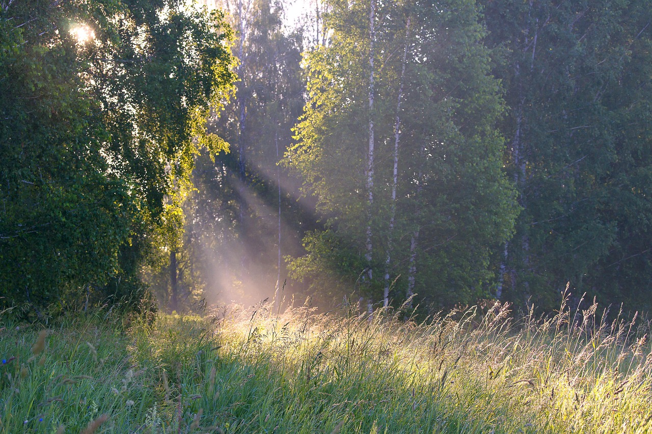 Wijd open raam op een zomerse ochtend met lichte gordijnen die bewegen in de wind