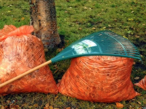Tuingereedschap liggend op een herfstgazon met gevallen bladeren