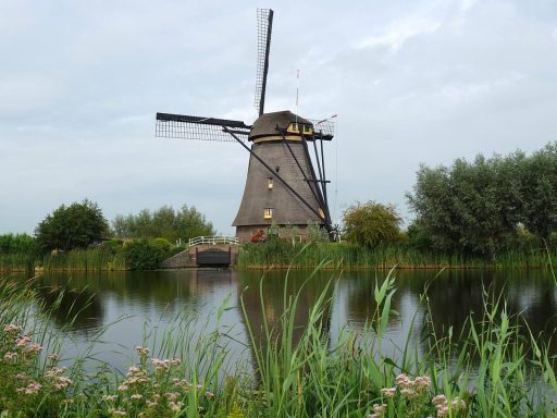 Nederlandse poldermolen weerspiegeld in het water, symbool voor eeuwenoude waterbeheerstechniek